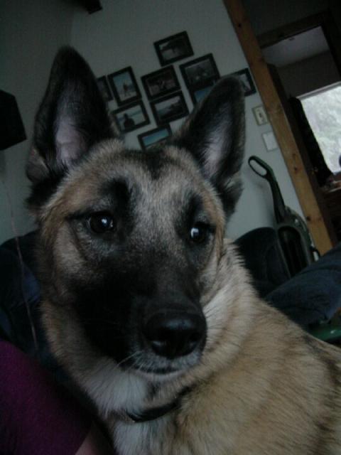 Kaia can be serious.  Once every 23 days.